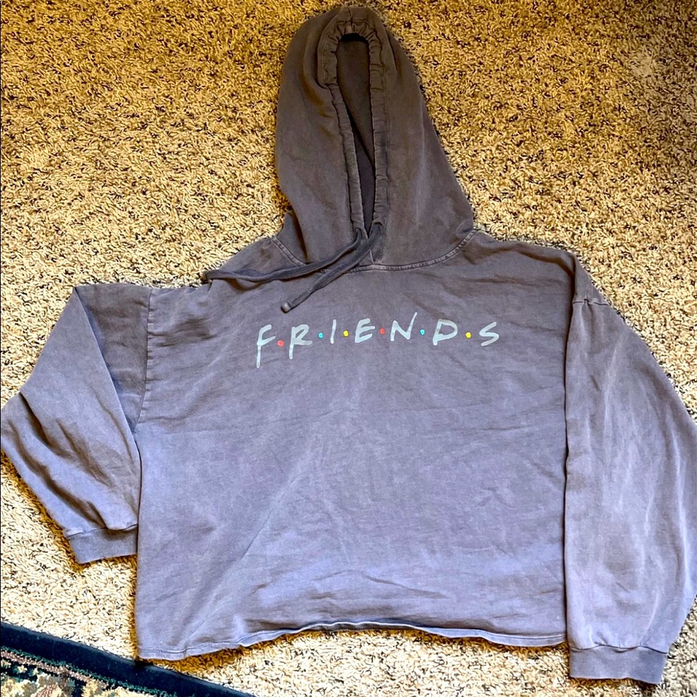 Vintage Y2K FRIENDS crop top hoodie